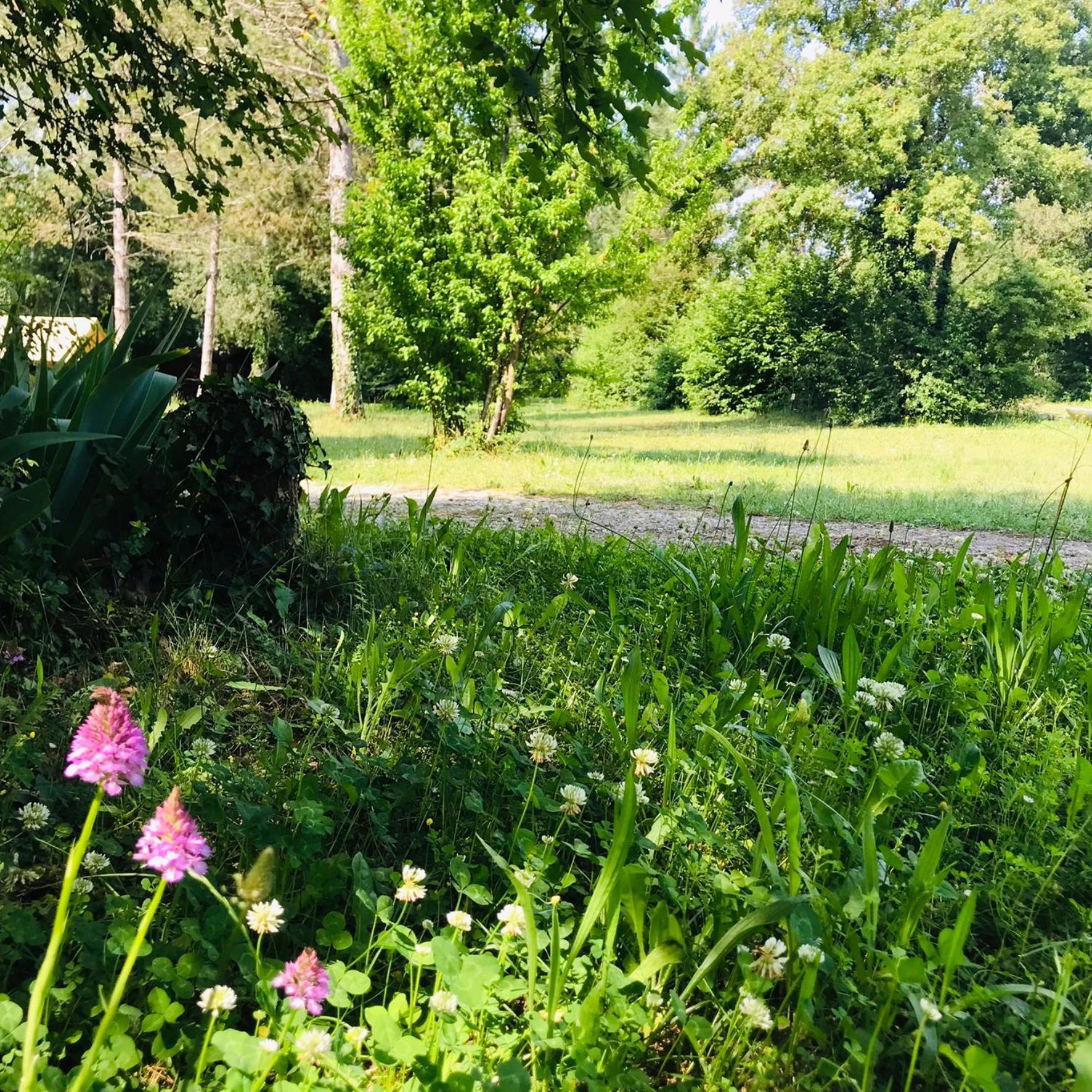 Camping La Vaugelette - Drôme Montclar-sur-Gervanne Exterior foto